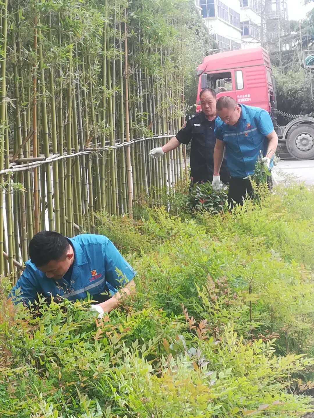 寰俊鍥剧墖_20190521100642.jpg 寰俊鍥剧墖_20190521100642.jpg